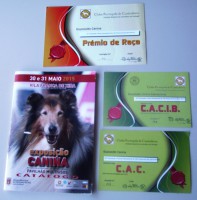 /album/galeria-de-fotos/internacional-v-f-xira-jpg/